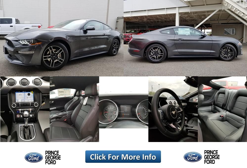 Stk# 5107365 - 2019 Ford Mustang